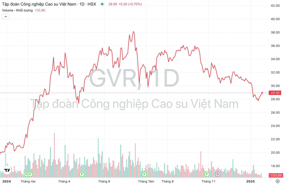 The price movements and trading volume of Vietnam Rubber Group's GVR stock from the beginning of 2024 to now. (Source: TradingView)