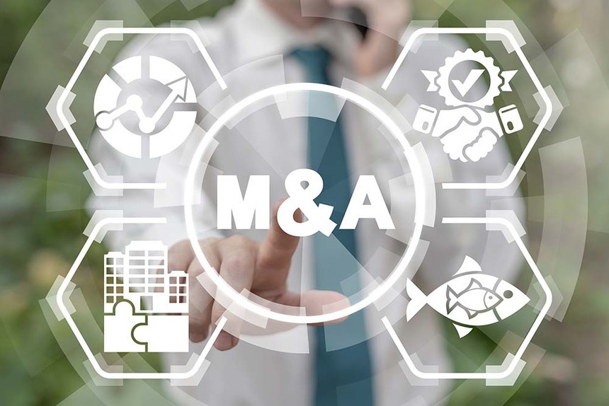 Vietnam's M&A landscape mirrors global trends