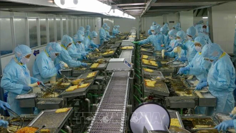 Illustrative photo: Workers at Seavina Company (Tra Noc Industrial Park, Binh Thuy District, Can Tho City). (Photo: VNA)