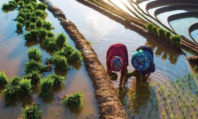 Farming meets tourism, how Vietnam is cultivating new travel experiences