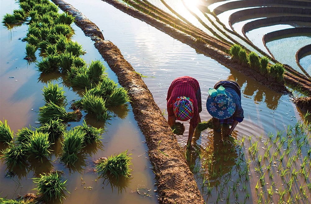 Farming meets tourism, how Vietnam is cultivating new travel experiences