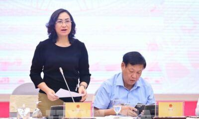 Deputy Minister of Industry and Trade Phan Thi Thang speaks at the Government's regular press conference in Hanoi on August 5. (Photo: VNA)